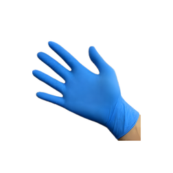 XL Powder-Free Vinyl Gloves - 1000/Case