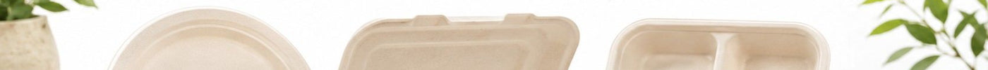 Bagasse Food Packaging Guide: Plates, Bowls, Clamshell Containers, Trays & Lids