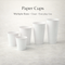 Paper Cups