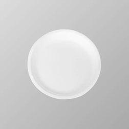 Compostable Bagasse Plate 10