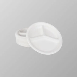 Compostable Bagasse Plate 10
