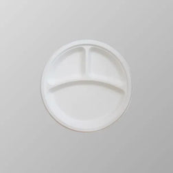 Foam Pack Plain Plate FP310 10