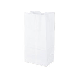 Bolsa de papel blanca de 20 libras<br> 500/paquete 