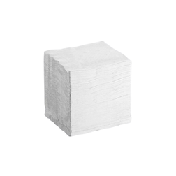 Dinner Napkin 17