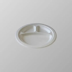 Compostable Bagasse Plate 9