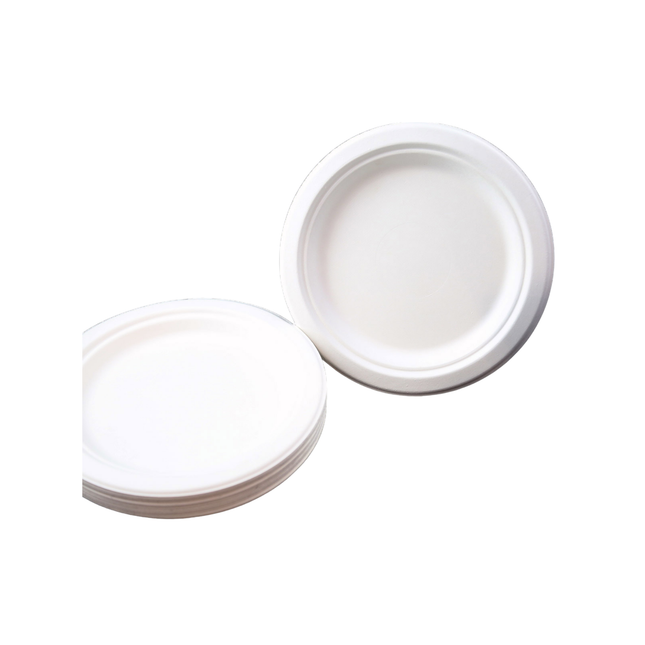 Compostable Bagasse Plate 9" - 1 Compartment 500/Case