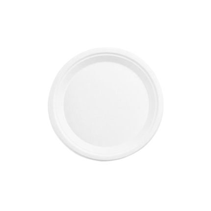 Compostable Bagasse Plate 10" - 1 Compartment 500/Case