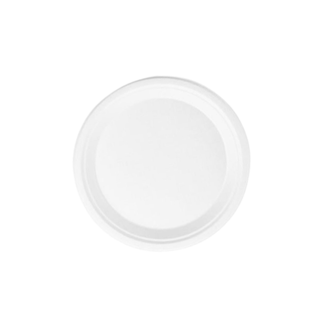 Compostable Bagasse Plate 10" - 1 Compartment 500/Case