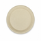 Bagasse Plates