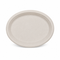 Bagasse Plates