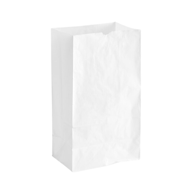 White Paper Bags 20 lb - 500/Pack
