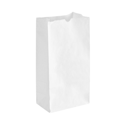 White Paper Bags 25 lb - 500/Pack
